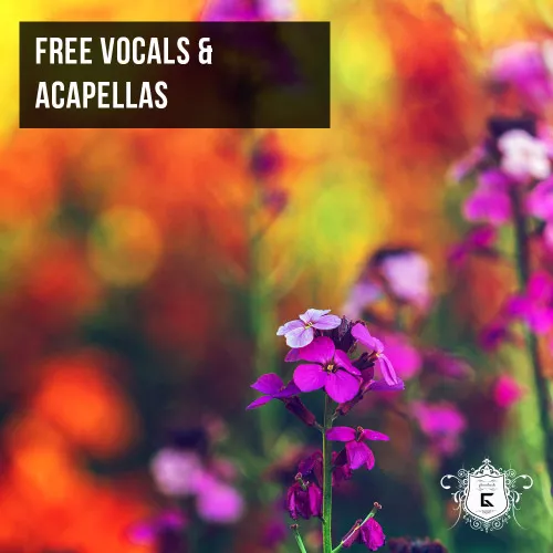 day24-free-vocals-small