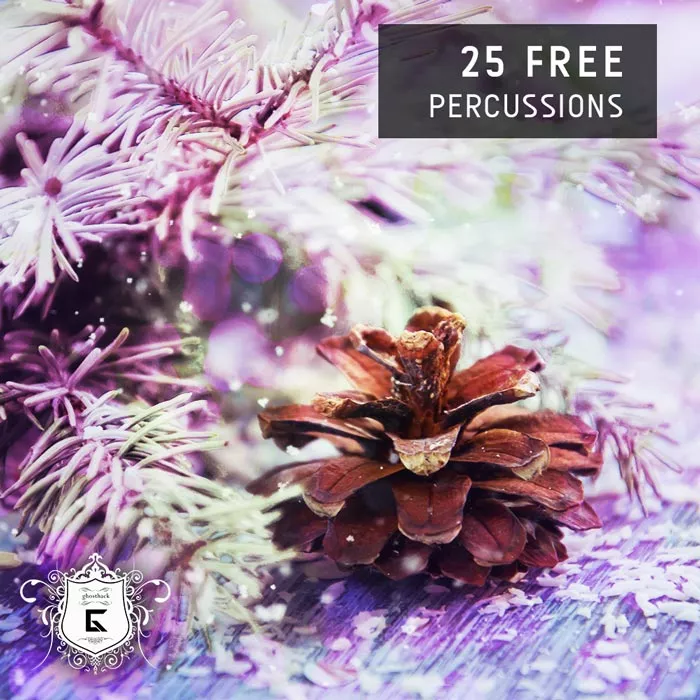 day-17-free-percussions