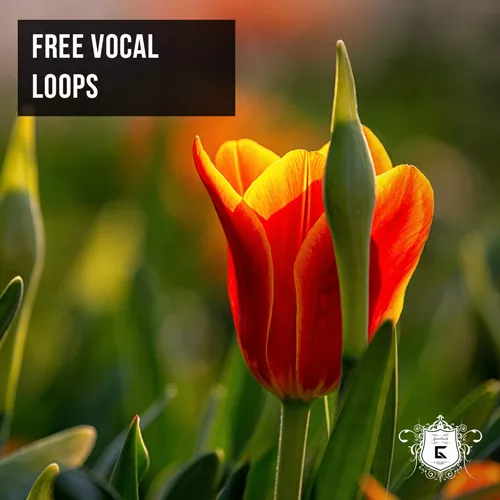 day23-free-vocal-loops
