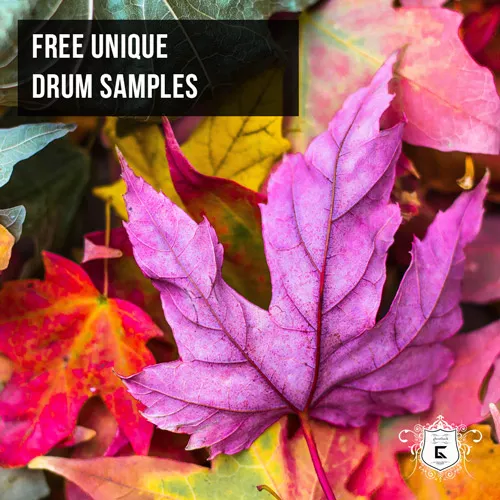 free-unique-drum-samples
