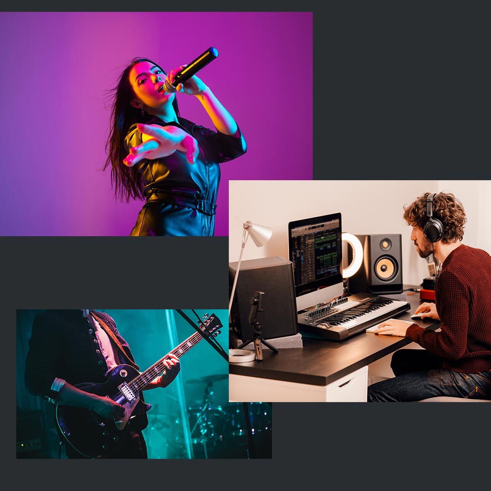 an image showing a vocalist, music producer and guitarist